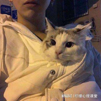 吞食天地2修改版下载